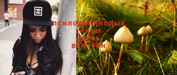 PSILOCYBIN Верхнеуральск