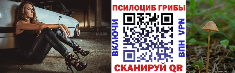 darknet Telegram  Ермолино  Галлюциногенные грибы мухоморы 